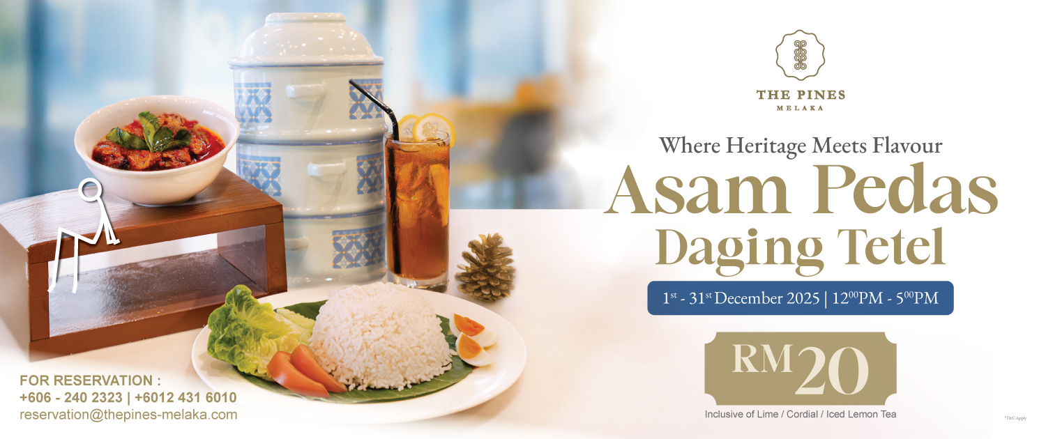 TPM_NS_SetLunchDec_AsamPedas_WebBanner_V1